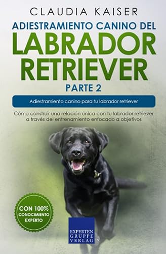 Adiestramiento canino del labrador retriever parte 2: Cómo construir una relación única con tu labrador retriever a través del entrenamiento enfocado a objetivos