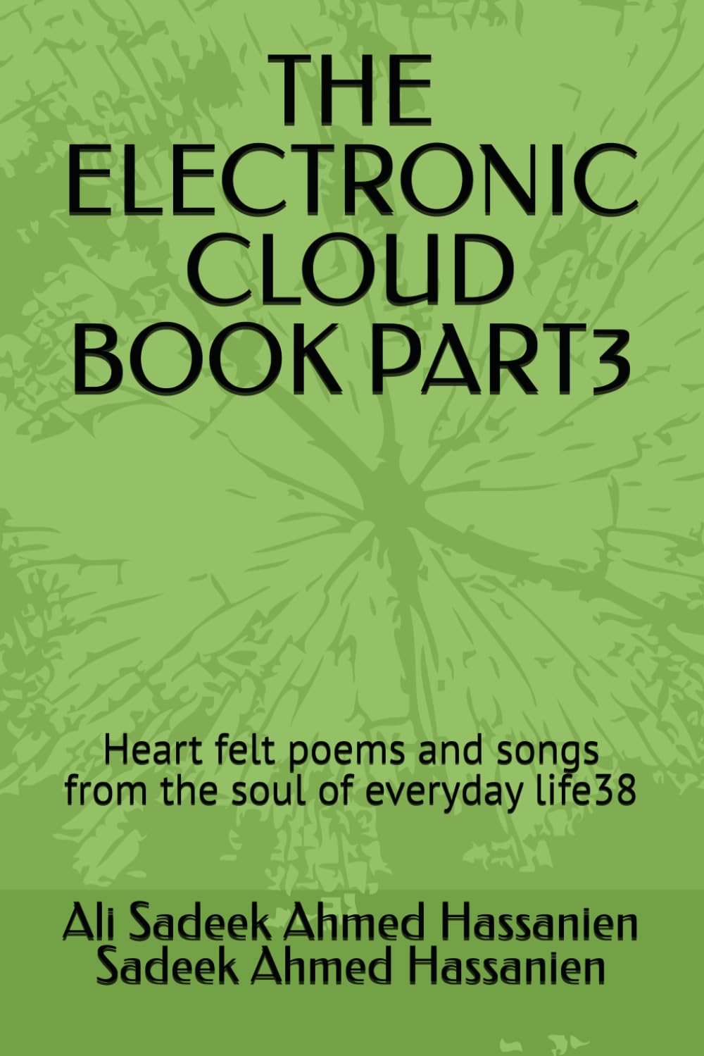 THE ELECTRONIC CLOUD BOOK PART3: Heart felt poems and songs from the soul of everyday life38