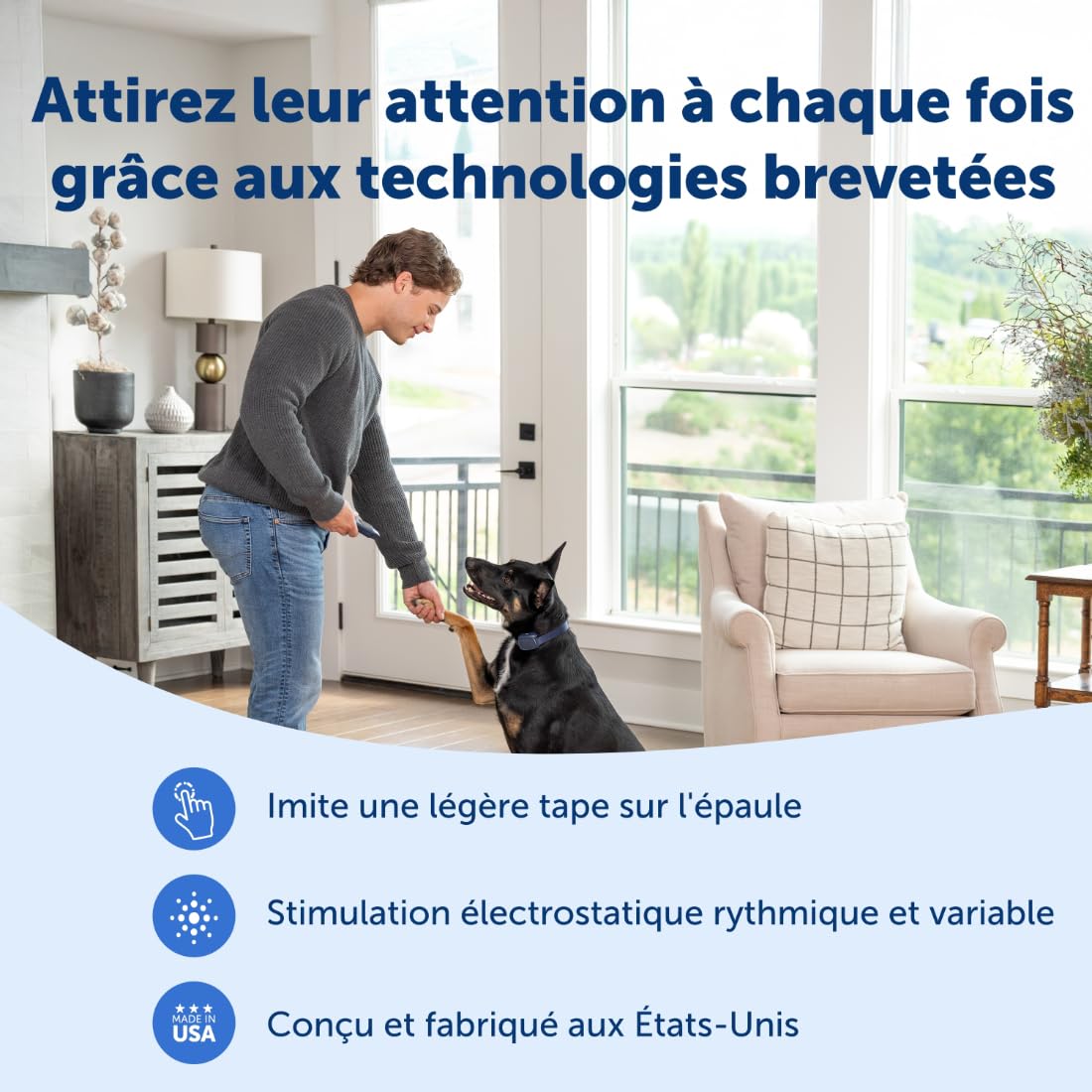 Dresseur de Chiens de Base PetSafe avec télécommande – Collier de Dressage étanche – 90 mètres de portée – Signal sonore, Vibration et 8 Niveaux de Stimulation Statique