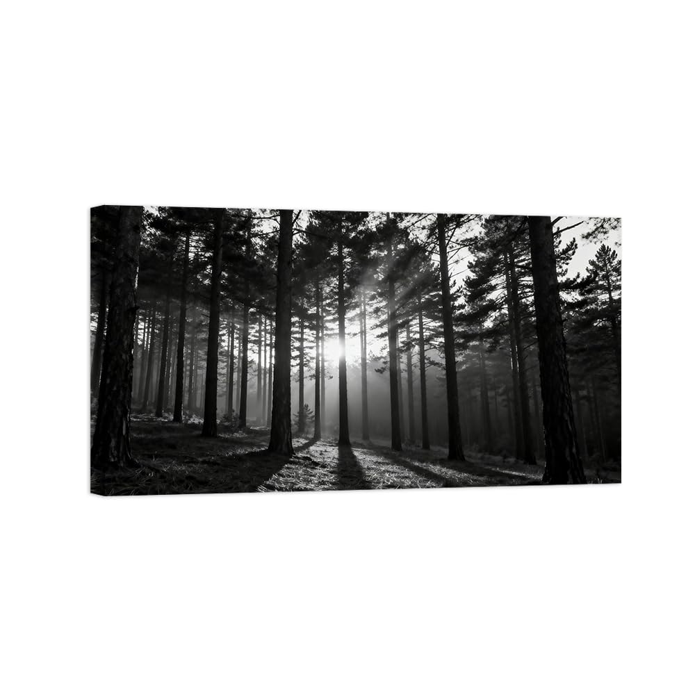 OZPWBVY Black and White Landscape Print Painting-Forest Tree Sunshine 8-Minimalist Canvas Wall Art Picture for Home Ready to Hang 24x42in 60x108cm Wrapped Canvas