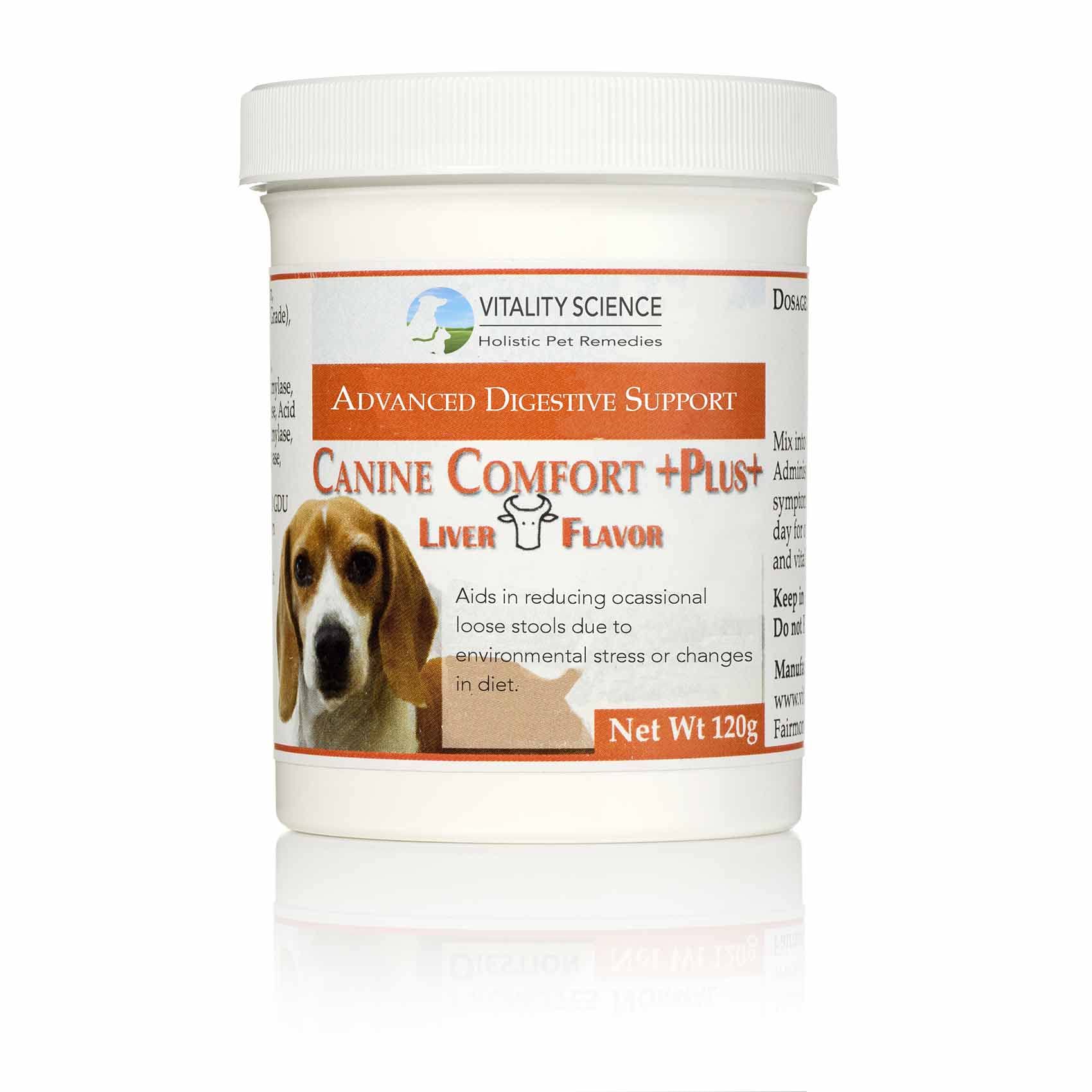 What Is Chronic Dog Vomiting