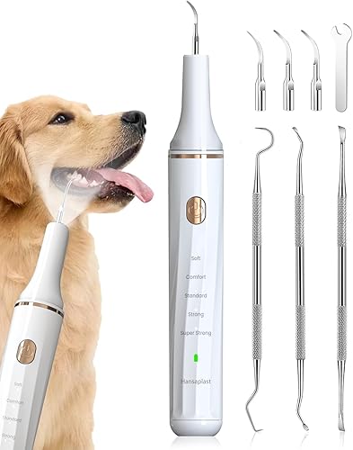 Hansaplast Removedor de placa para dientes, limpieza de dientes de perro, herramientas dentales para eliminar el sarro y las manchas, seguro para