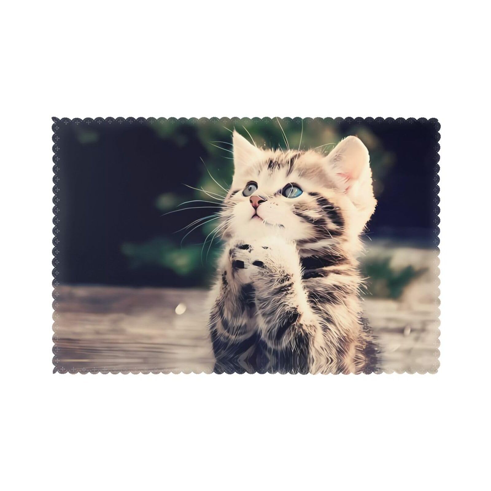 YYHHAOFA Cat Prints Placemats Set of 6 12x18in – A Thoughtful Housewarming Gift for Stylish Hosts
