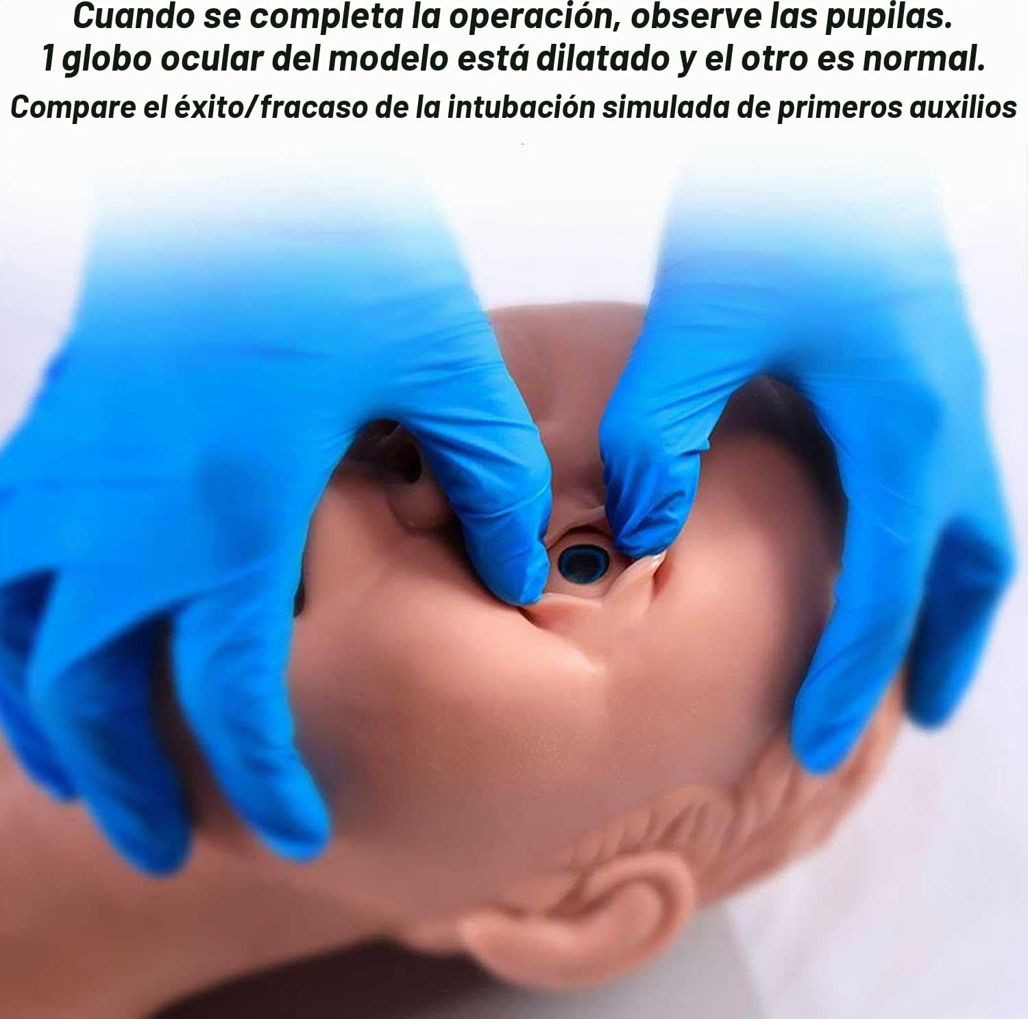 Simulador Educativo de Intubación para Adultos con Alarma Electrónica y Bolsa, Modelo Anatómico Funcional para Formación Técnica en Vía Aérea Oral y Nasal