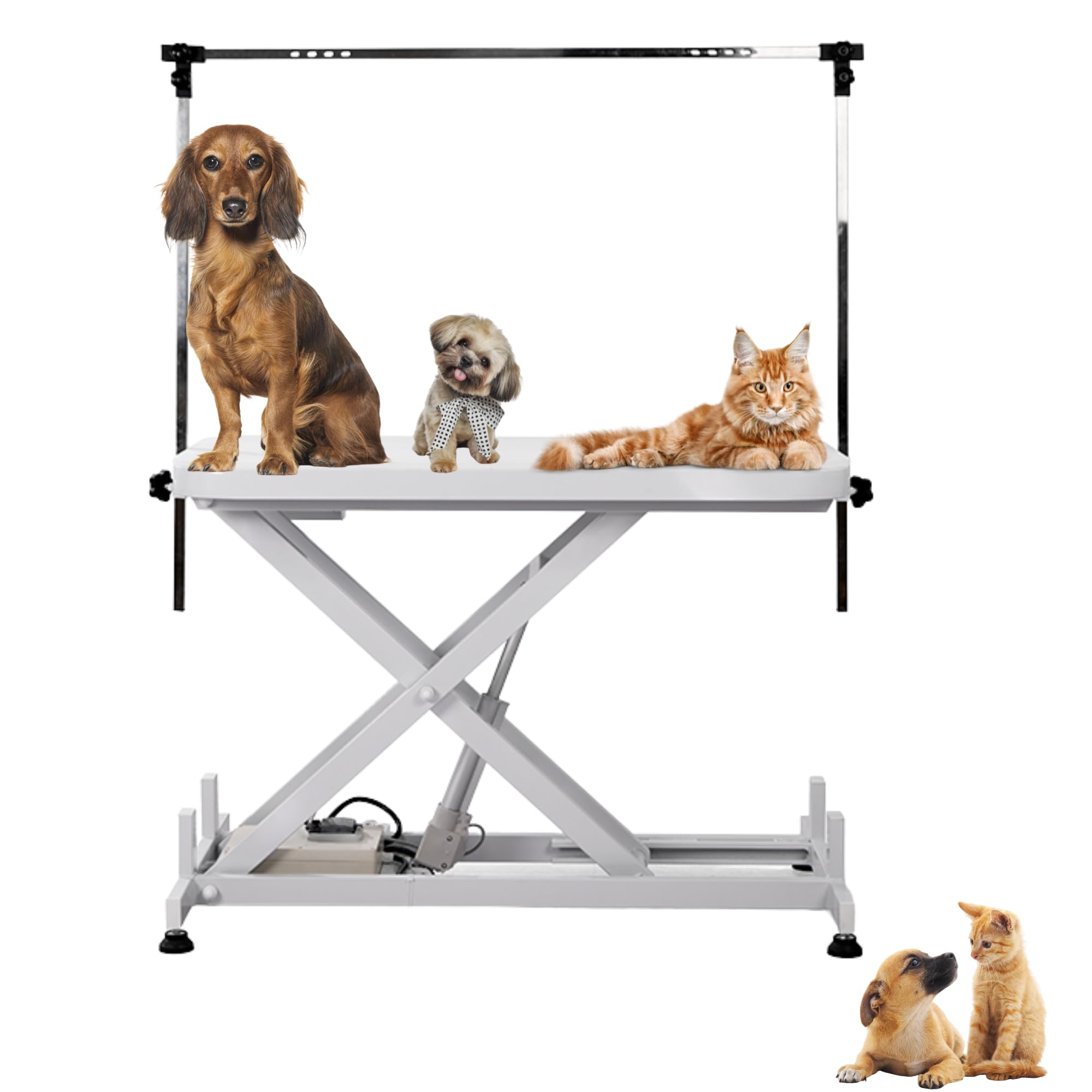 ZStyle Tavolo per Toelettatura Cani Professionale Lettino Banco Tosatura Rasatura per Cani Gatti Animali con 3 Lacci Portata Bracci Regolabili Altezza Regolabile Elettrico con Luce Ganci 150kg