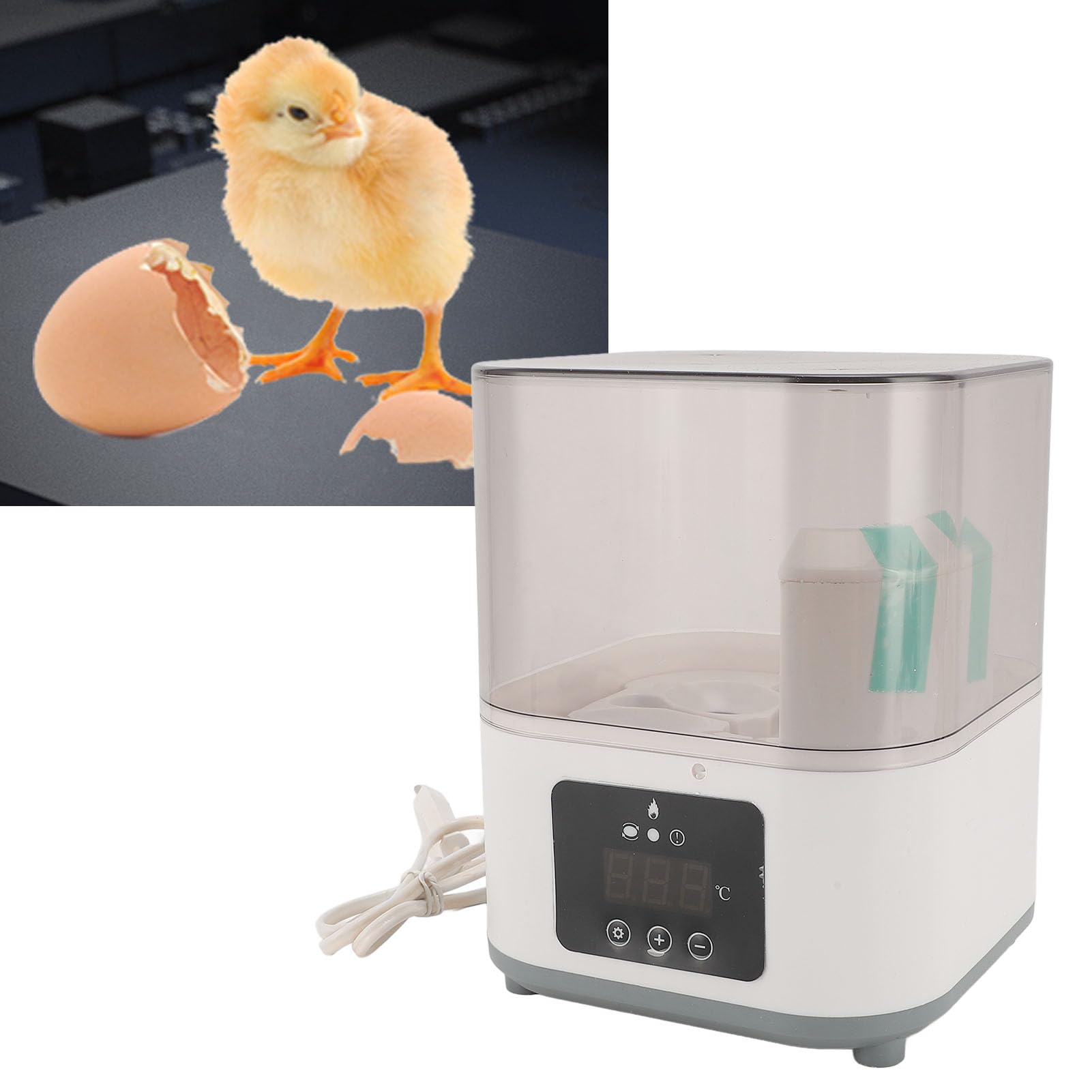 Farms Nurture Right Incubatrice per Pulcini da Cova Contiene 6 Uova, Girauova Automatico, Rotazione a 360 Gradi con Finestra Trasparente per Galline da Cova Quaglie, Anatre,