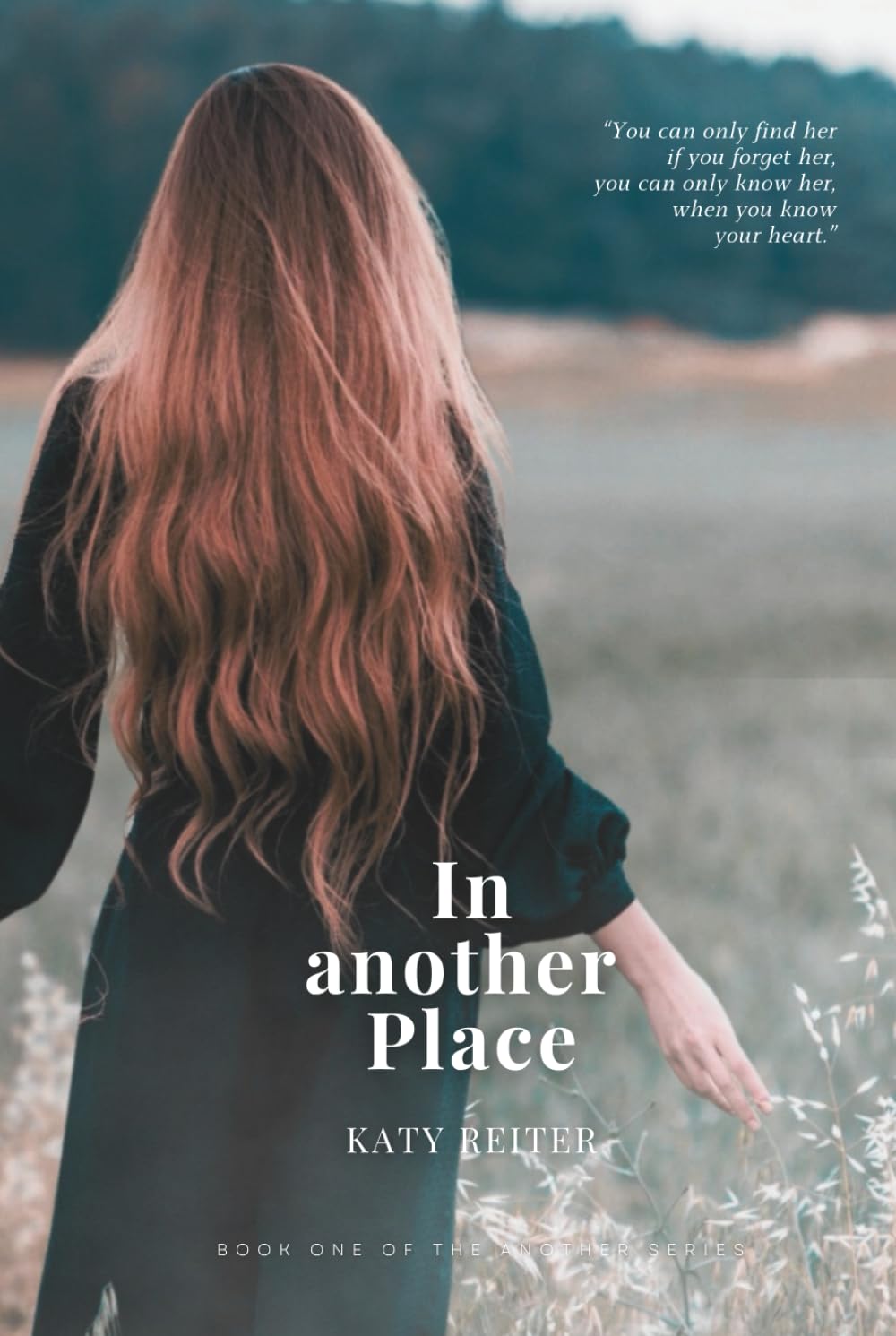 In another place: Another Series Book 1