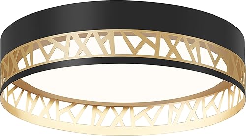 ONESMING Lámpara de techo de montaje empotrado negro y dorado, lámpara LED inteligente moderna para montaje en techo, lámpara de iluminación cercana