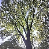 2. So hard to hold on