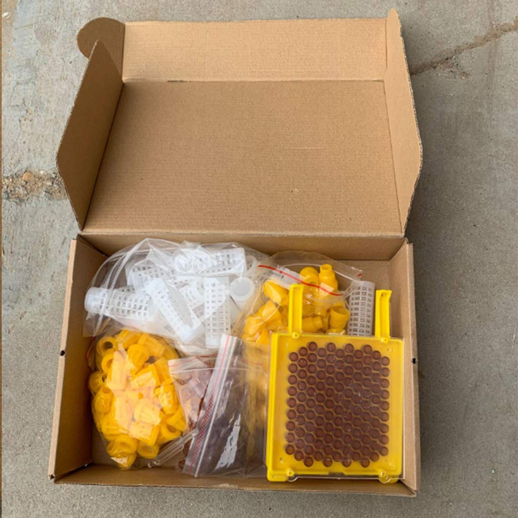 Kit complet d'élevage de la reine Jenter Queen pour l'élevage des abeilles, pour enlever les abeilles, mangeoires à oiseaux suspendues pour l'extérieur pour l'extérieur Mangeoire à oiseaux et poteaux