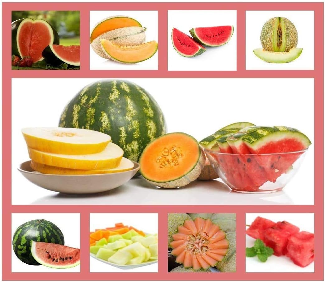 Heirloom Fruit Seeds Non Hybrid Real Survival Seeds