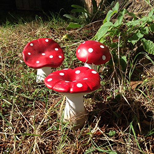 Décor fée de jardin Mushrooms Cover