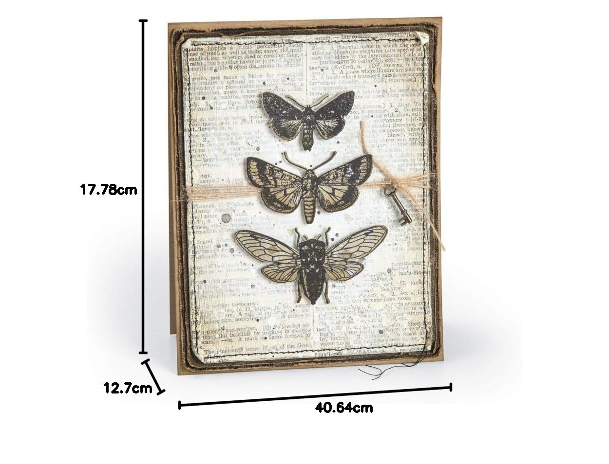 Tim Holtz Entomology – Stampers Anonymous Haftstempel und Sizzix Framelits Stanzschablonen-Set – 2-teiliges Set