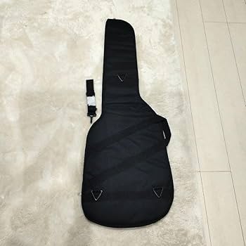 fender フェンダー　ソフトケース 61GnAHNOi7L._AC_SY200_QL15_.jpg