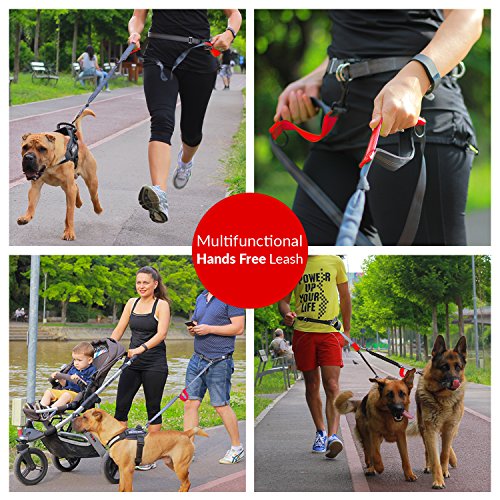 Hands Free Bungee Leash + Dual Dog Leash Coupler Kit Multifunctional + Retractable Traffic Jogging Hiking Leash & Reflective Pet Leash • Adjustable Body System + Padded Handles • Take Yankee #TOP4
