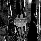  They Shoot Men With Flying Fish And Travel In Waterspouts Or On Rainbows