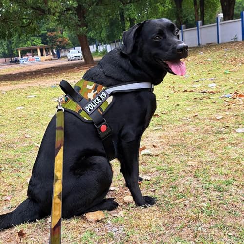 Image of Berlin's Police K9 Dog Harness with Leash, Dog Vest with Handle, Reflective Adjustable No-Pull Harness for Dogs Heavy Duty Nylon, for Training, Patrol, Hiking (Army Green, XL (36Kg Above))