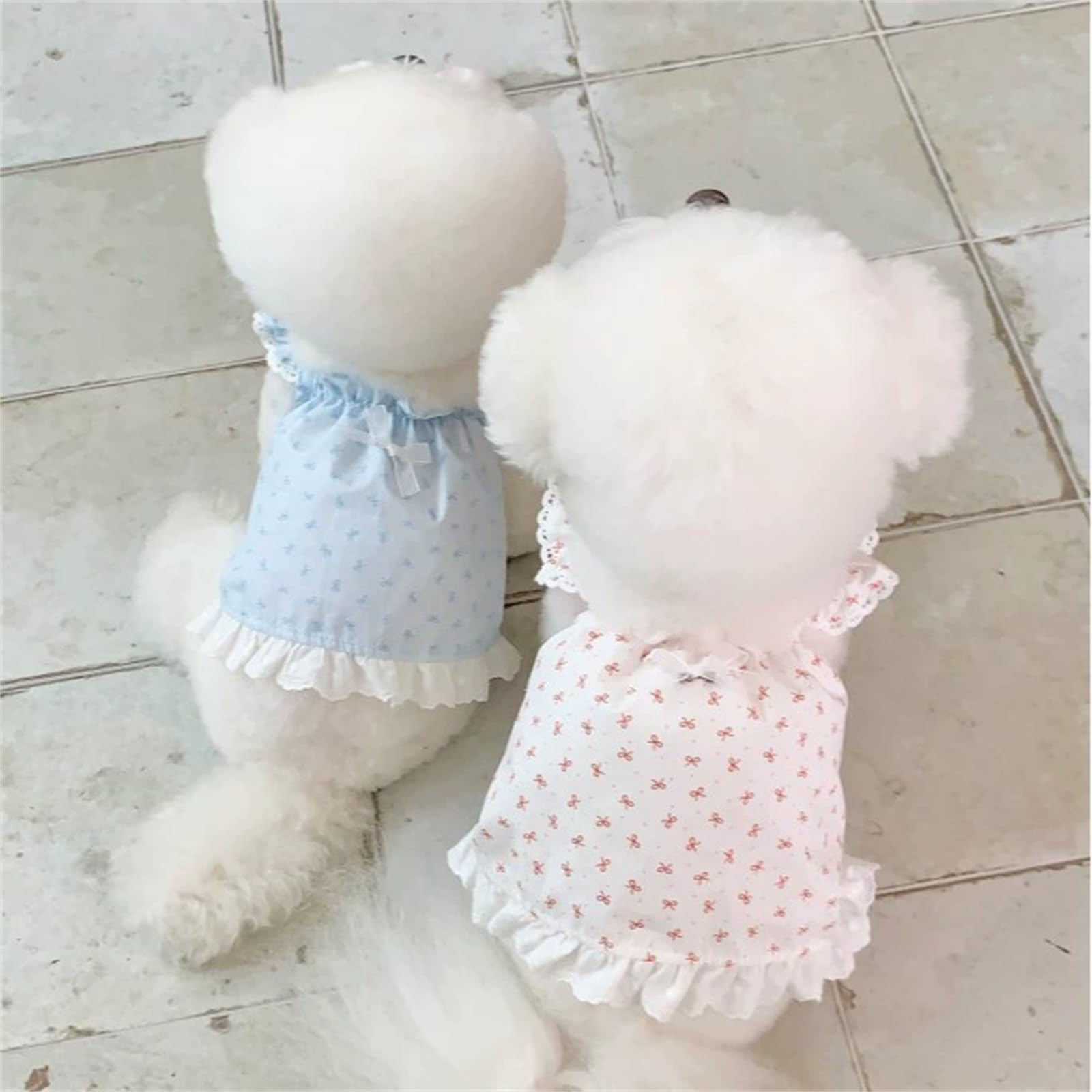 Lot de 2 Robes pour Chien, vêtements d'été à imprimé Floral de Taille XS, Chemises à Volants pour Petits Chiens, Bleu et Rose (Bleu, Taille M (2,5 à 4 kg)