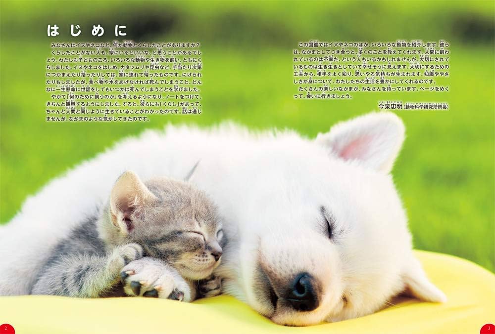 Amazon.co.jp: イヌ・ネコ・ペット (学研の図鑑LIVE(ライブ Amazon.co.jp: イヌ・ネコ・ペット (学研の図鑑LIVE(ライブ