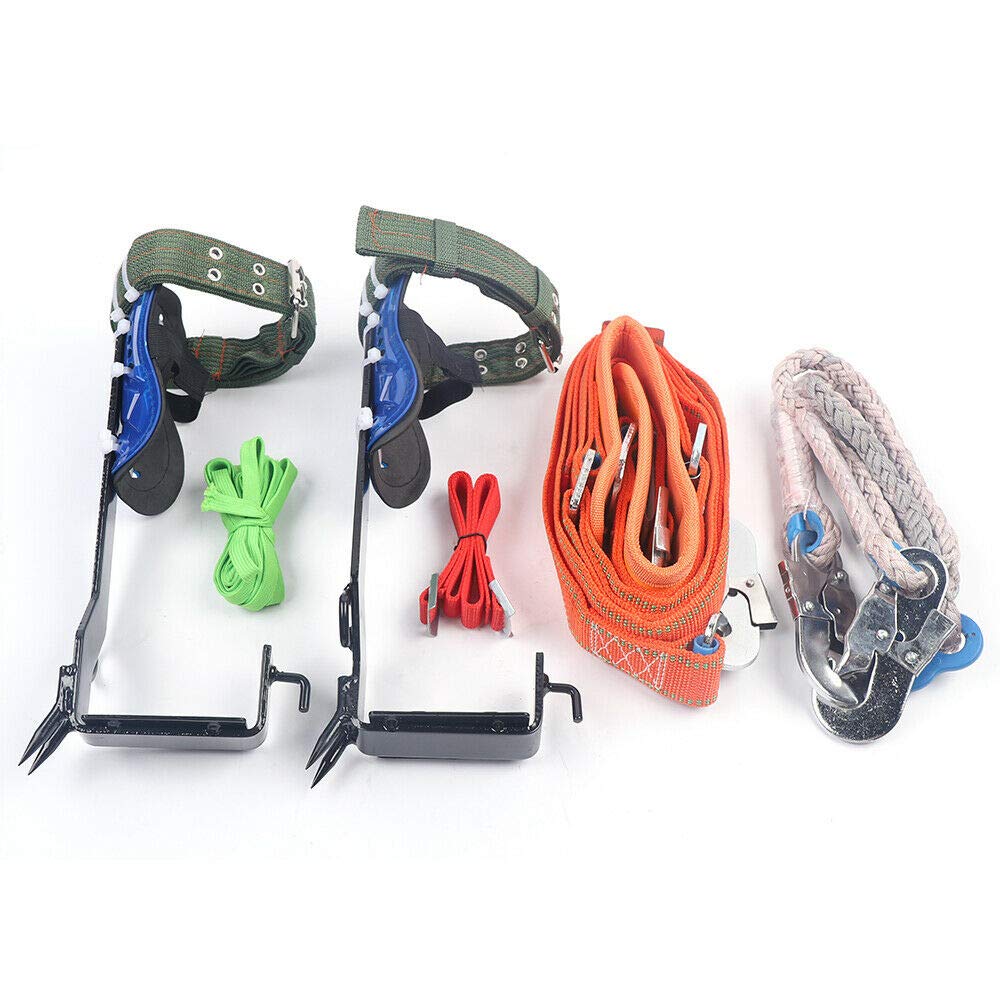 CACTUS ROPES Bad Boy 31ft Head Rope XS