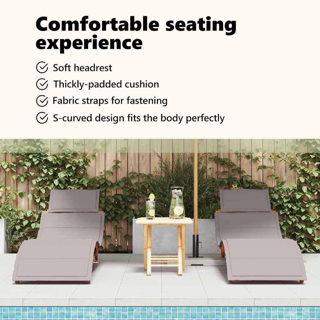 vidaXL Transat avec Coussin 2 pcs Taupe Bois d'Acacia Massif, Salon de Jardin et terrasse, transat Moderne rectangulaire, Fauteuil Chic pour se détendre en extérieur