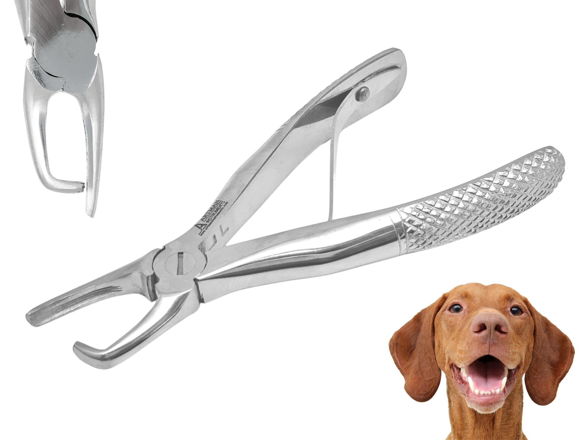 Artman Instruments Pet Tartar Remover Forceps 4 5 Pet Dental Calculus Removal Tool for Dogs Pets Canine Veterinary