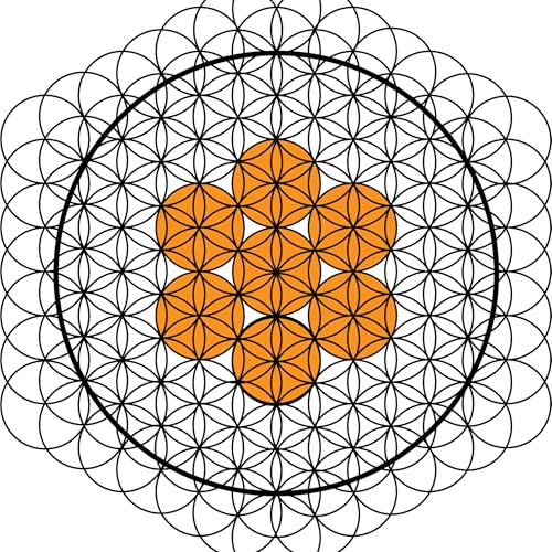 Page de couverture de UNIVERSO VIDA | Salud y estilo de vida integral