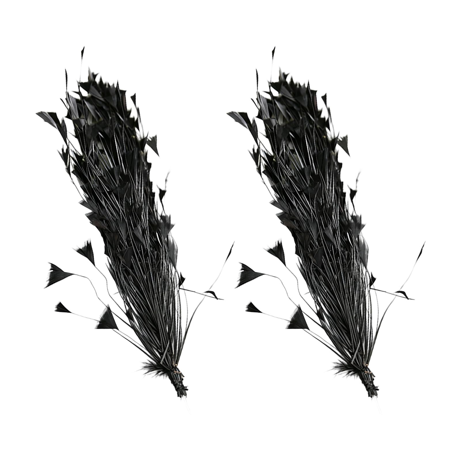Zeiwohndc Black Artificial Plumage Embellishments Set Of 2 For Clothing Sewing And Home Decoration Celebratory Down Embellishments