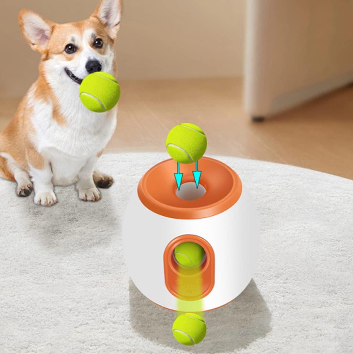 Automatic Dog Ball Launcher