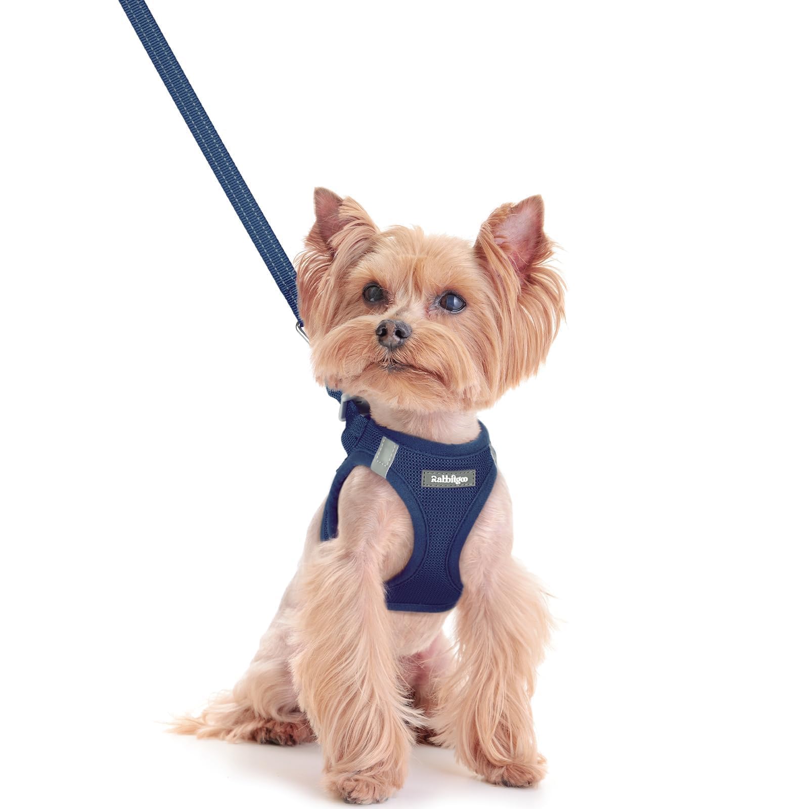 rabbitgoo Dog Harness Small Dog and Leash Set, Step-in Soft Mesh Puppy Harness with Reflective Strips, Lightweight Breathable Pet Vest for Walking Training, Navy Blue, XXS