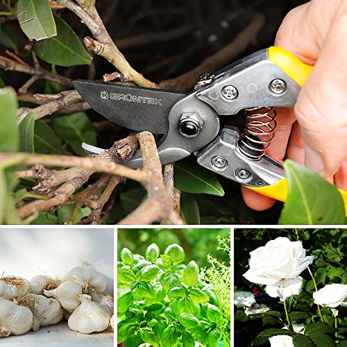 GRÜNTEK Tuinschaar Phoenix 200 mm Teflon, Super Convenient Bypass Tuinbouwtakschaar automatisch openend Teflon mes 50mm Bypass, Roosschaar, Wijnstokschaar, snoeischaar Tuinschaar - Afbeelding 6