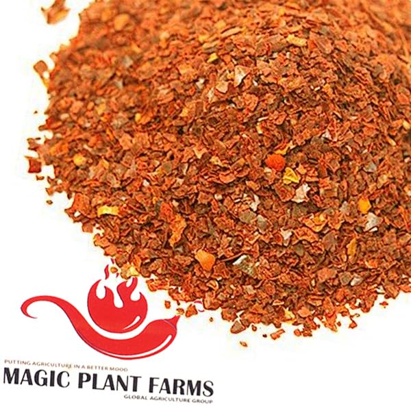 Miniatura 2 de Magic Plant - Pimienta en polvo naranja datil  Ají fascinante y raro  Dulzura única picante con sabor fructífero y picante a diferencia de cualquier