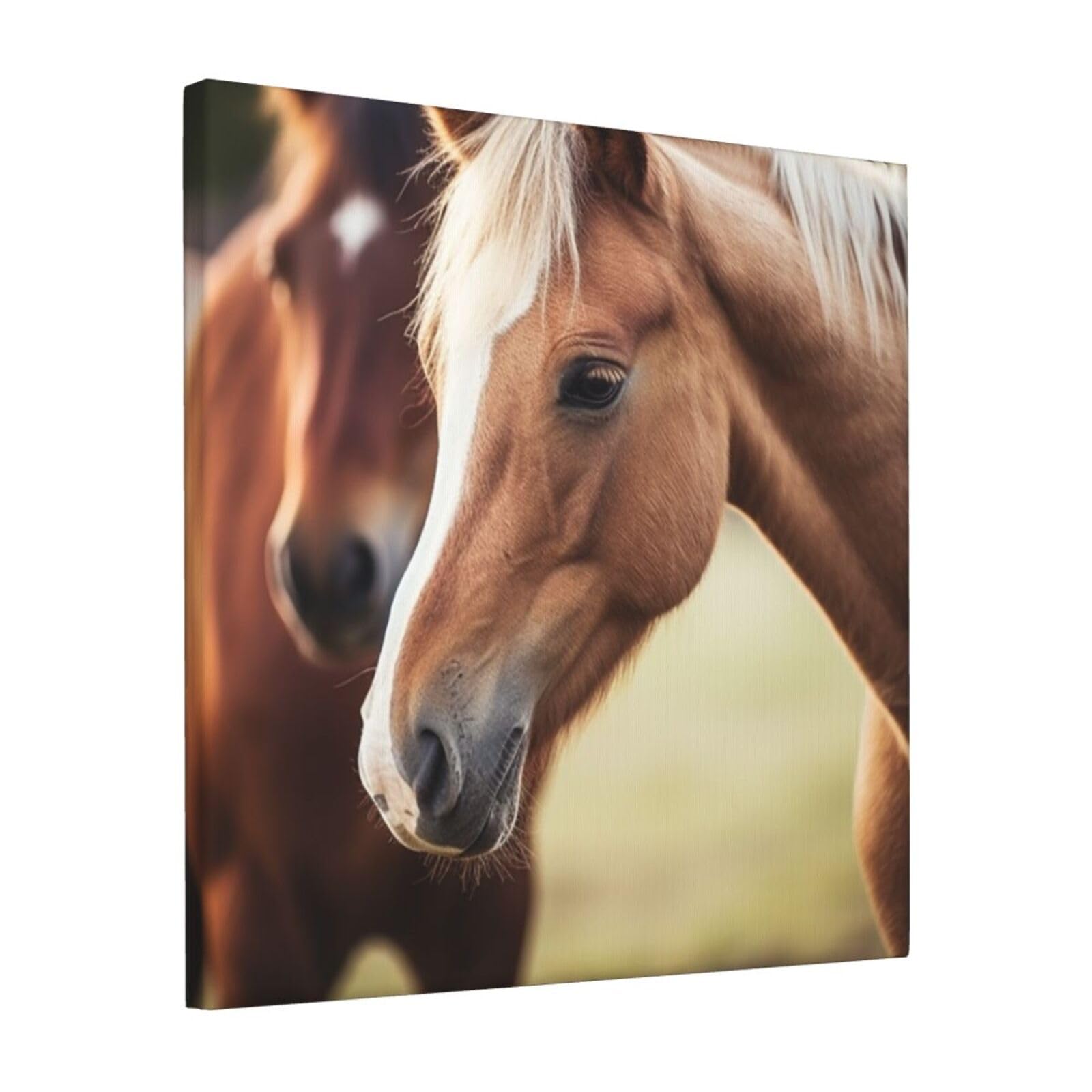 KLOPH Adorable Horse Canvas Wall Art for Living Room 12"x12" Modern Artwork Painting for Bathroom Hanging Canvas Prints Aesthetic Wallart for Bedroom Kitchen Office Wall Decor