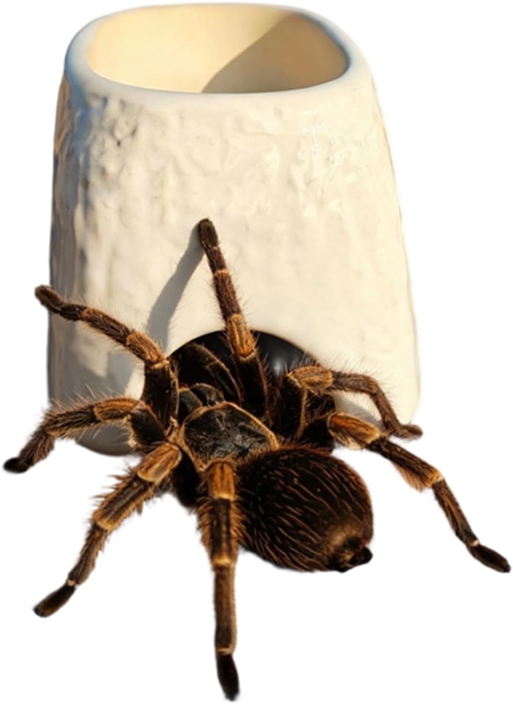 Schlangen Höhle | 2 in 1 Einfach Zu Reinigen Reptilien Versteck | Leopardgecko-Höhle,Für Bartagamen Leopardgeckos Schlangen Echsen Spinnen mit Indoor-Futternapf im Lieferumfang Schlangen Höhle | 2 in 1 Einfach Zu Reinigen Reptilien Versteck | Leopardgecko-Höhle,Für Bartagamen Leopardgeckos Schlangen Echsen Spinnen mit Indoor-Futternapf im Lieferumfang