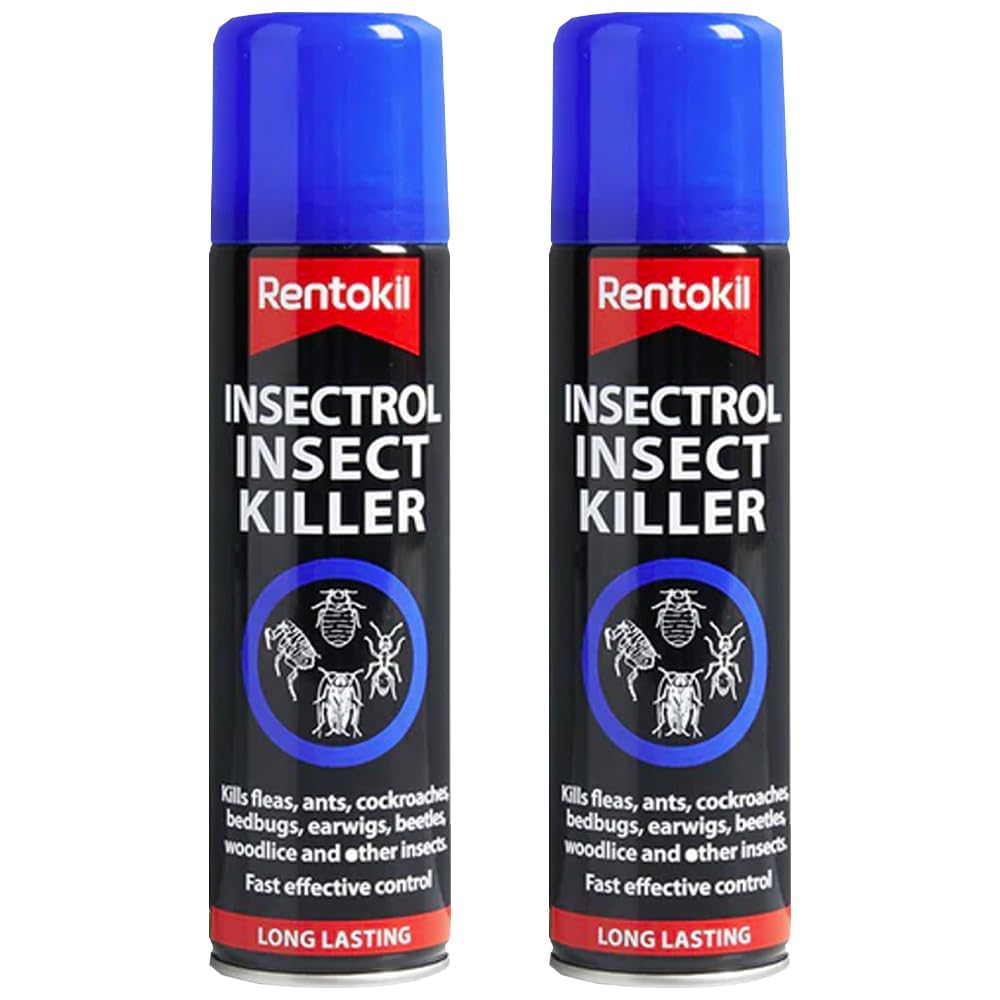 Insecticidal Lacquer 300ml – Pack of 2 | Long-Lasting Insect Killer Spray for Ants, Cockroaches, Woodlice & Crawling Insects | Indoor & Outdoor Use