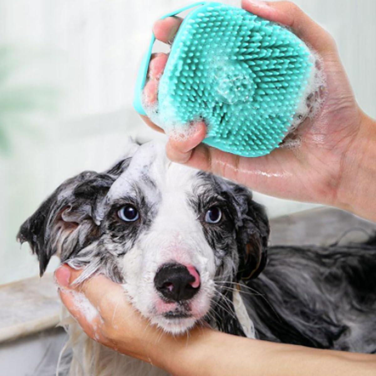 3 Stück Bürste Hund, mit 3 Handtüchern, Badebürste Hunde, Haustier Bürsten, Massagebürste für Hunde, Weiche Silikon Badebürste mit Ringgriff, Shampoo Dispenser für Beruhigende Massage Waschen