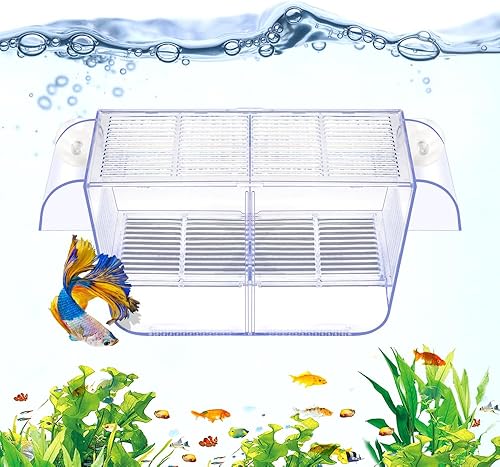 DaToo Caja de cría de peces, tanque de retención de acuario, caja de aislamiento de peces transparente, caja de aclimatación para incubadora de