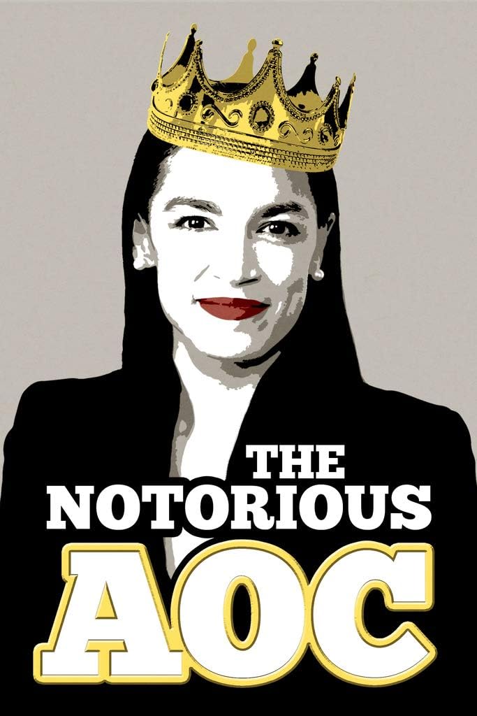 Amazon.com: Notorious AOC Political Parody Cool Wall Art Print Poster ...