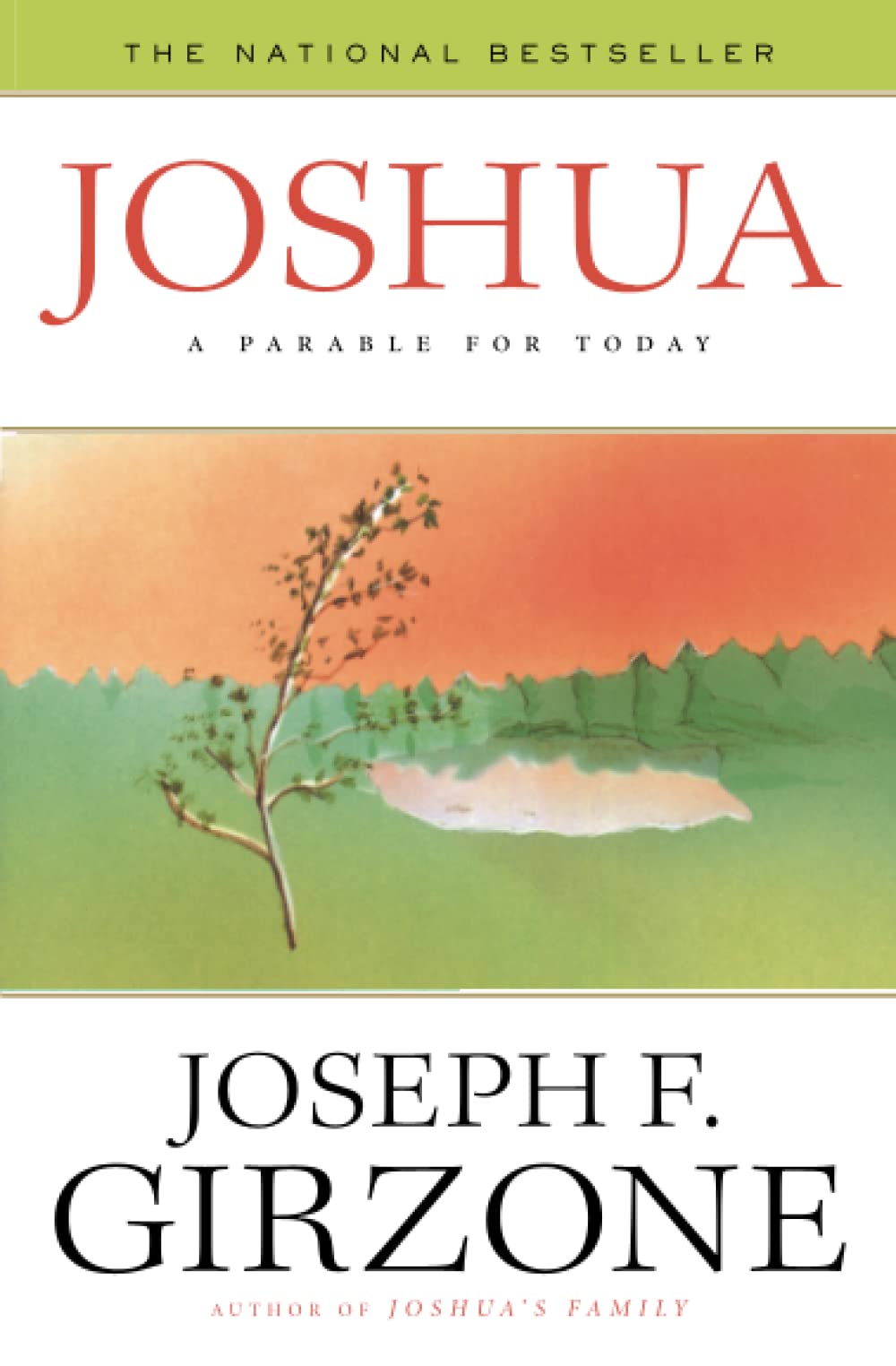 Cover of Joshua: A Parable for Today