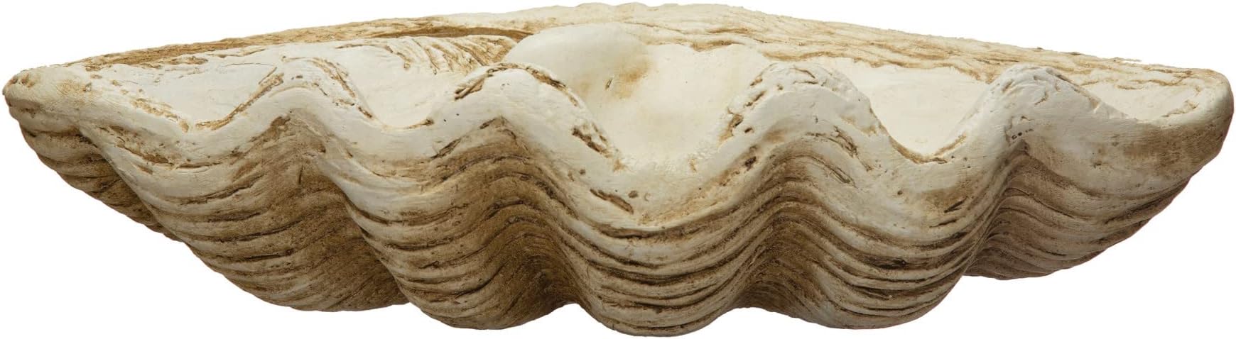 Coastal Decorative Magnesia Clamshell, Natural