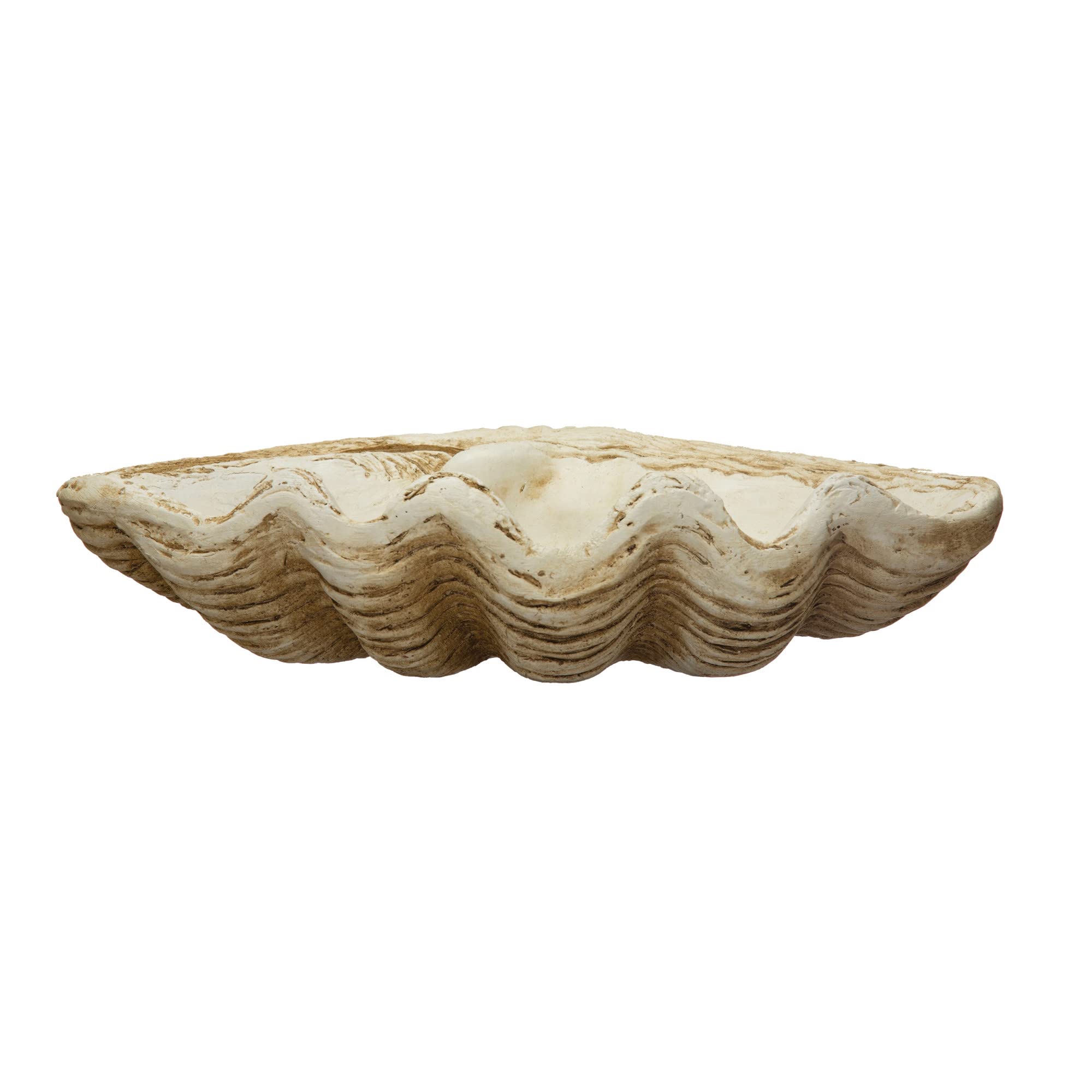 Coastal Decorative Magnesia Clamshell, Natural