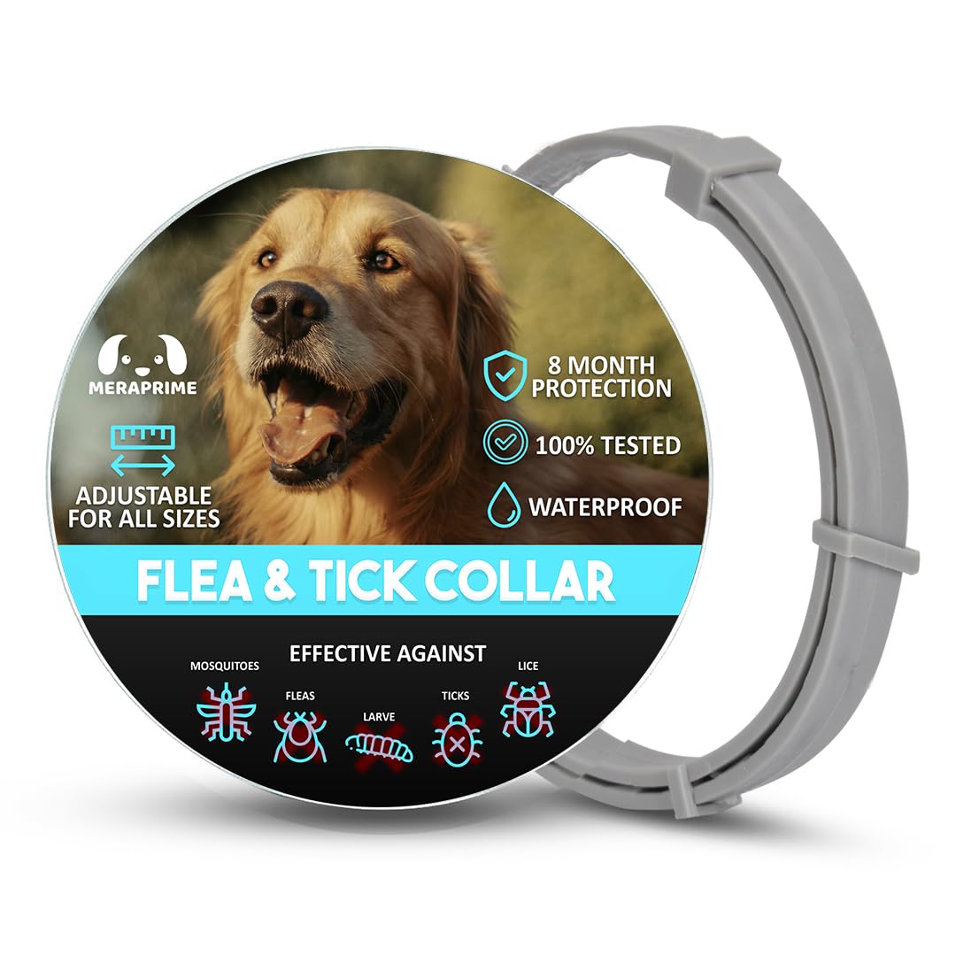 MeraPrime®-Collar antiparasitario leishmania, Anti pulgas y garrapatas para Perros | Tratamiento pulgas Perros para Matar pulgas en los Perros | Collar antiparasitario Perros
