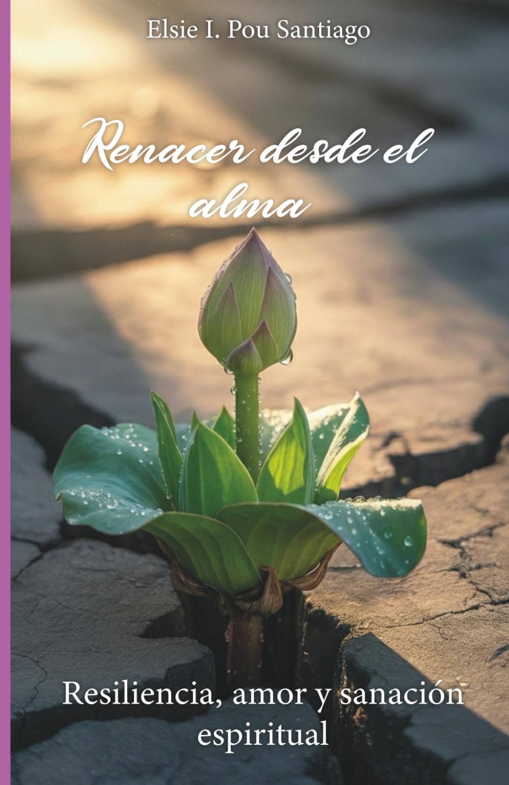 Renacer desde el alma: Resiliencia,amor y sanación espiritual