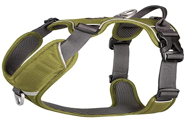 Dog Copenhagen Arnés de Paseo Walk Pro para Perro, cómodo, Verde, Talla XL