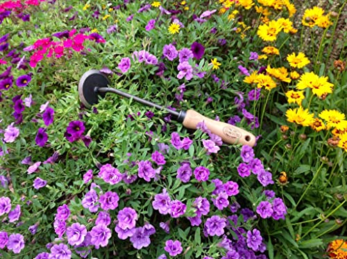 Tierra Garden - DeWit Garden Disc Weeder con Mango Corto miniatura 3