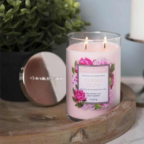 Vista 120 de Colonial Candle Vela perfumada en frasco, cilindros clásicos, brillo navideño, 2 mechas, 19 onzas, morado