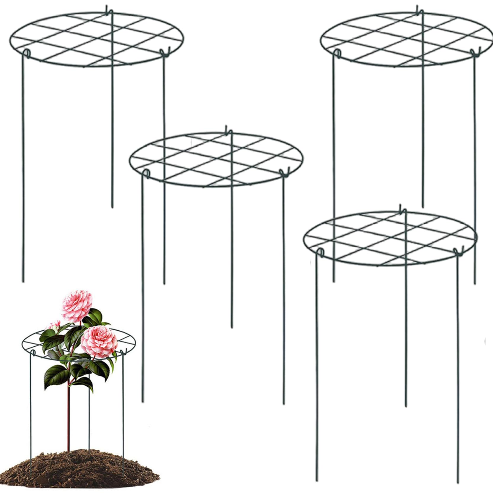 Cages à plantes en fer finies les tiges brisées de vos tomates et pivoines au jardin