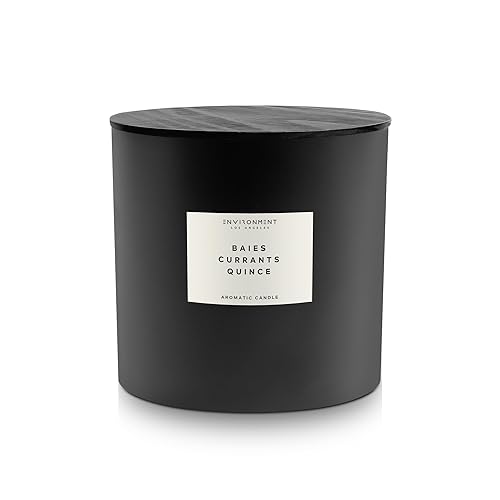 Environment Inspired by Designer Perfume DYPT Baies Candle, 55oz Luxury