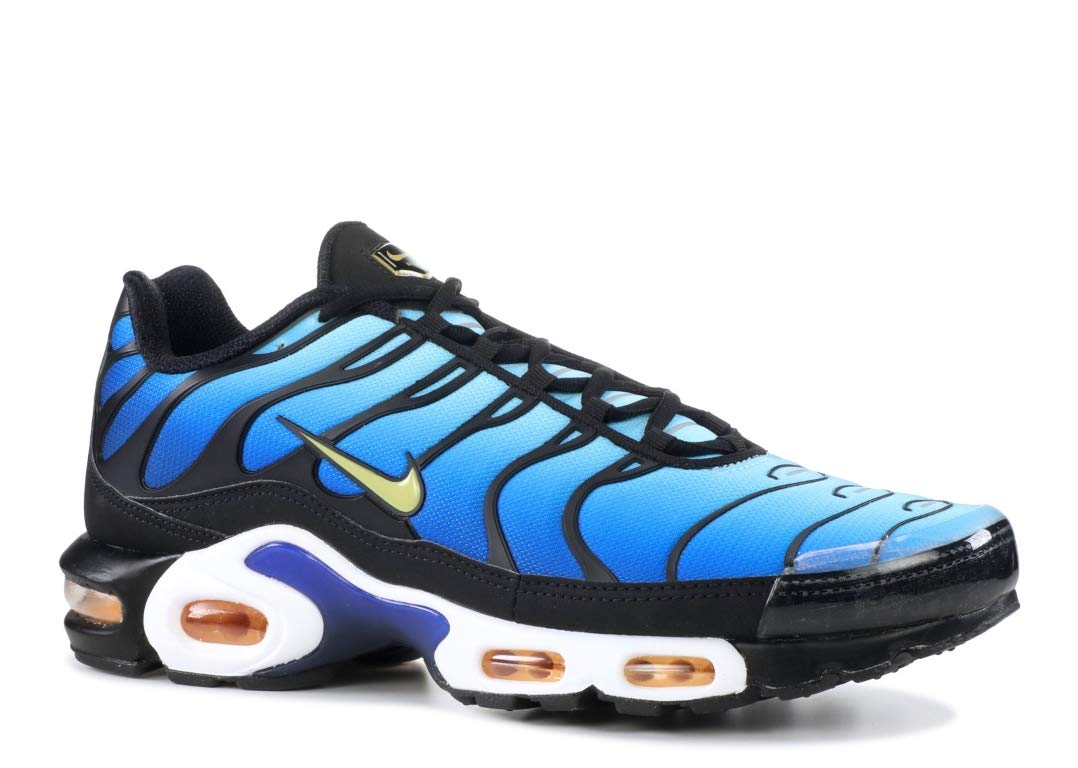 nike air max plus mesh