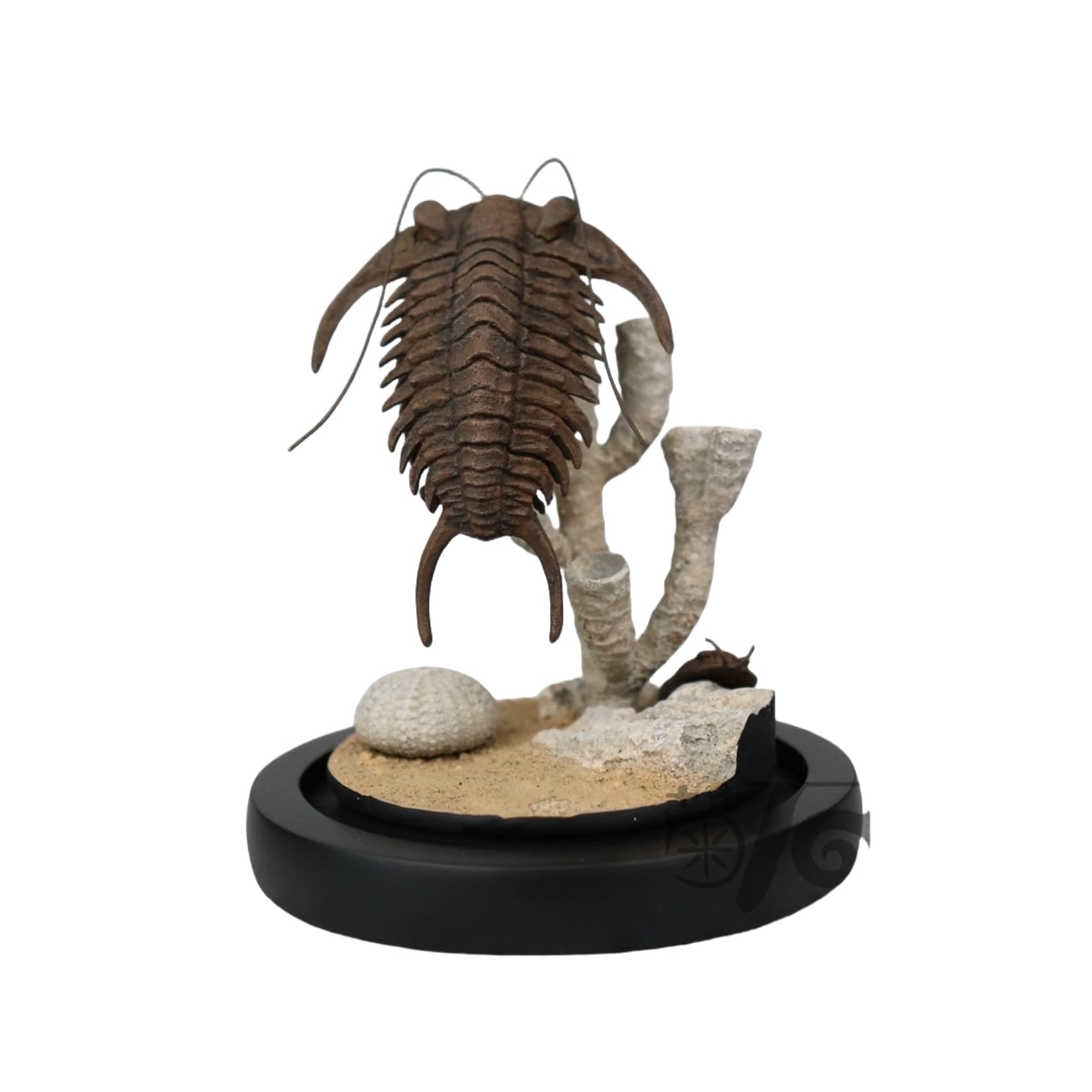 Amazon.co.jp: 菊石 1/1スケール 三葉虫 フィギュア 台座付き 16cm 節